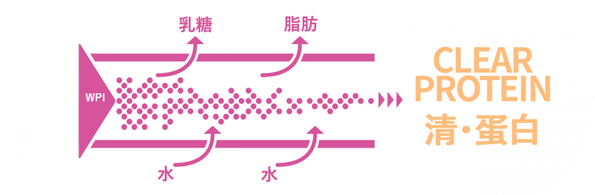 CLEAR PROTEIN 清・蛋白