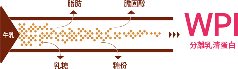 WPI 分離乳清蛋白